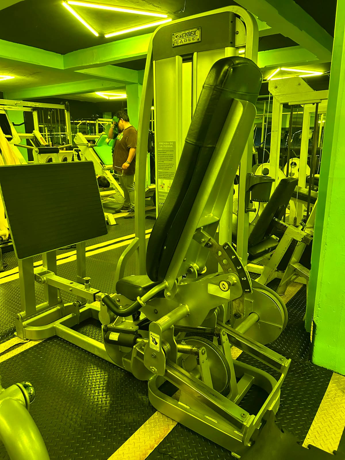 leg press