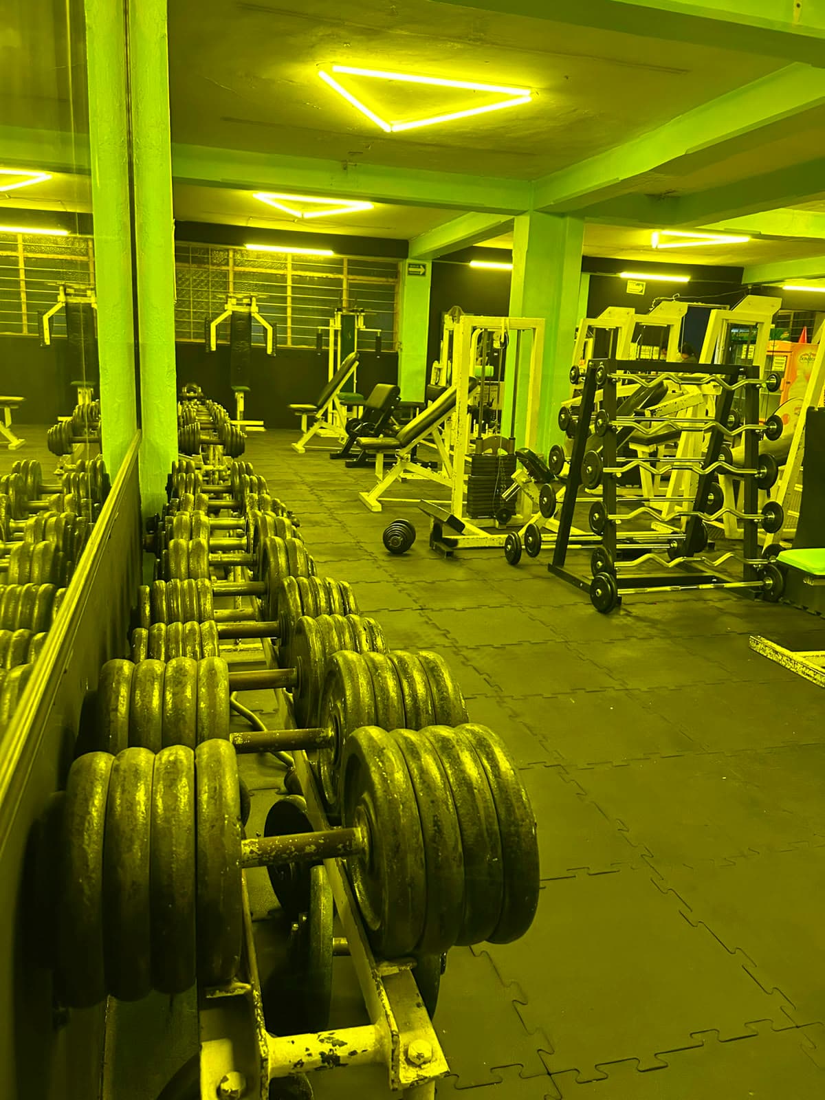 dumbbells