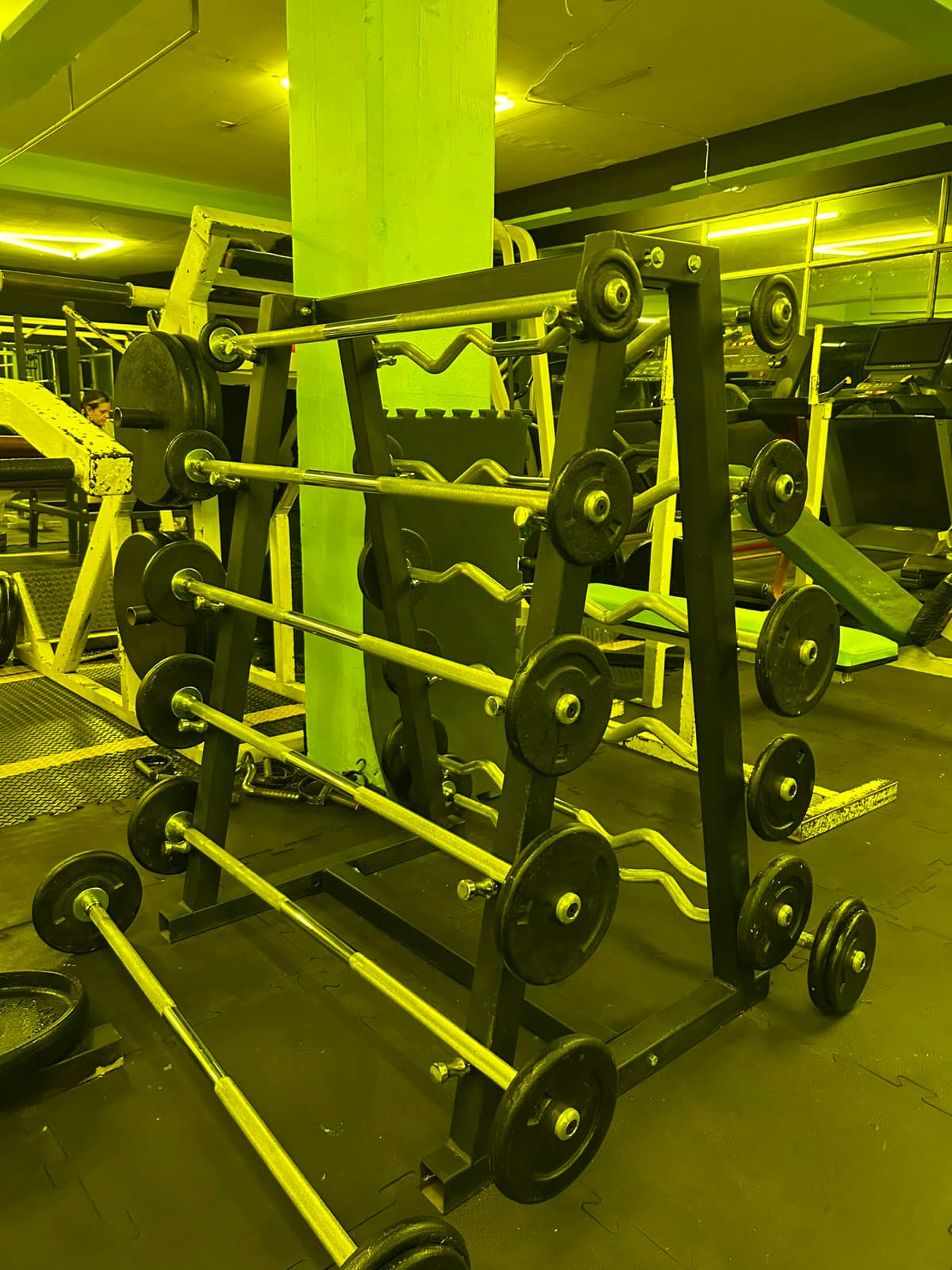 weighted bars