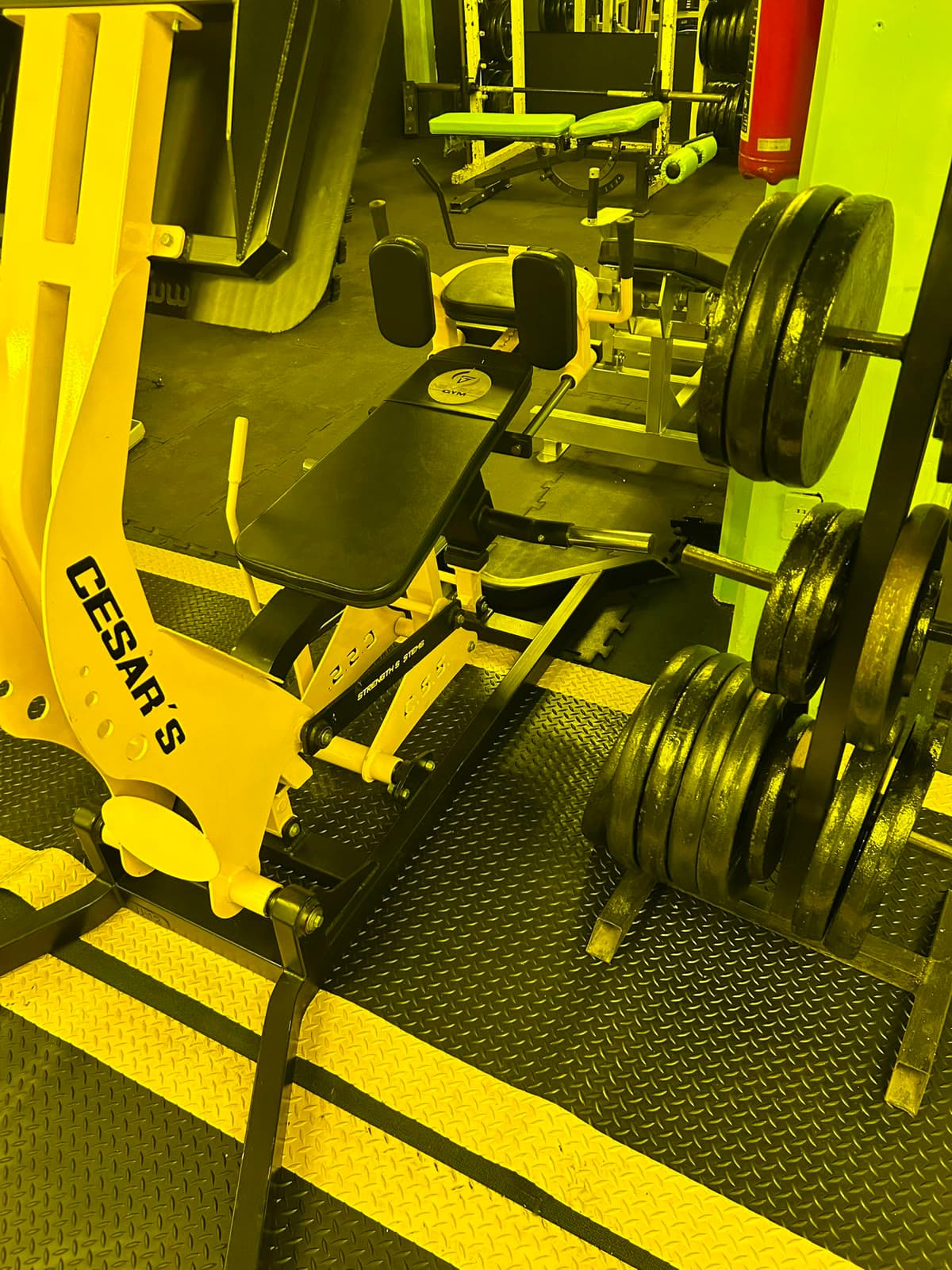 weights