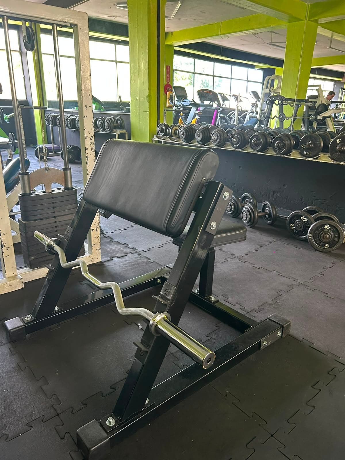 preacher curl
