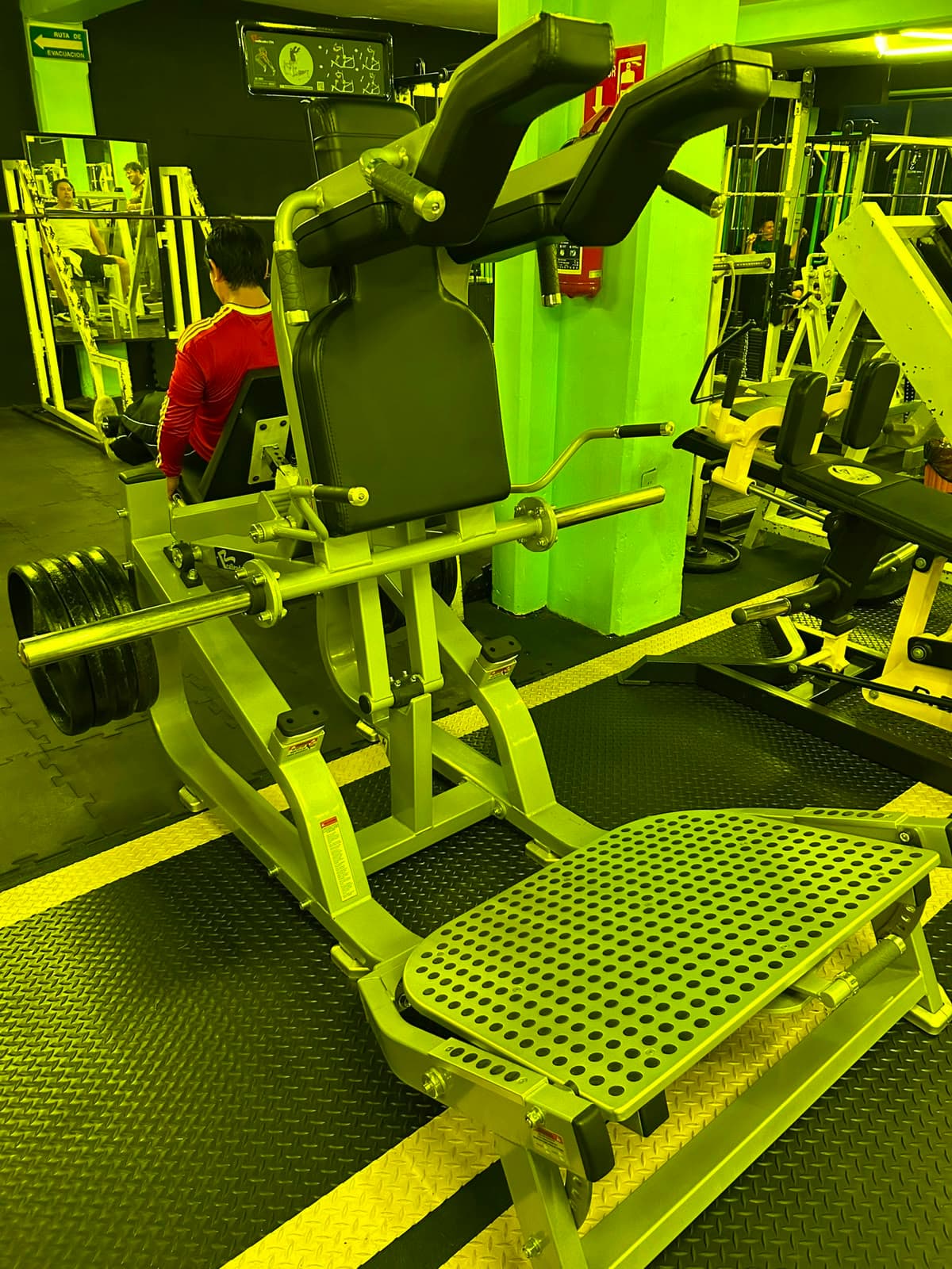 V squat